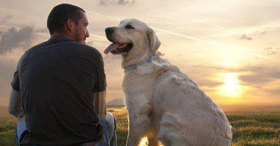 uomo e cane