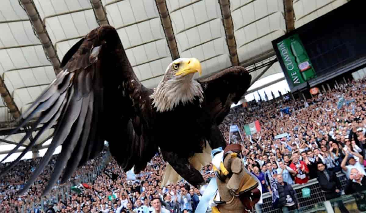 Animali e squadre di calcio