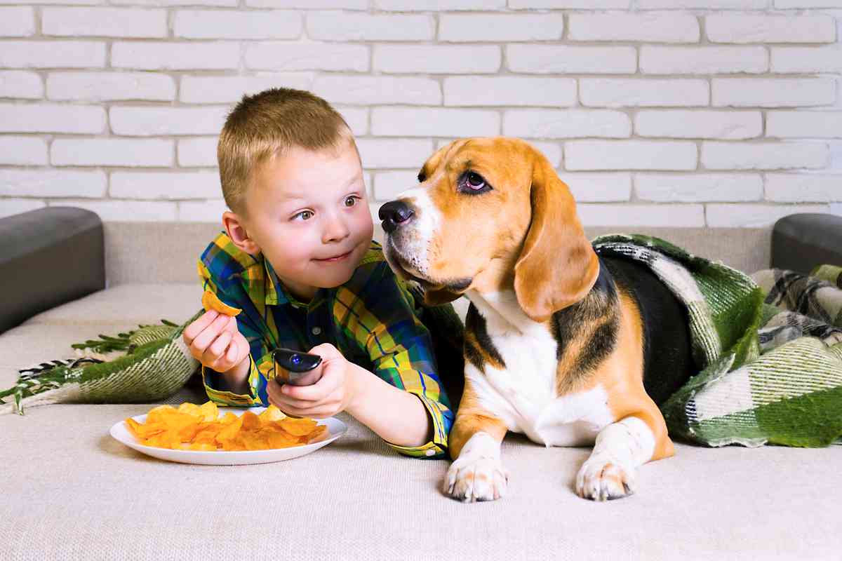 I Cani Sentono Se Stai Male