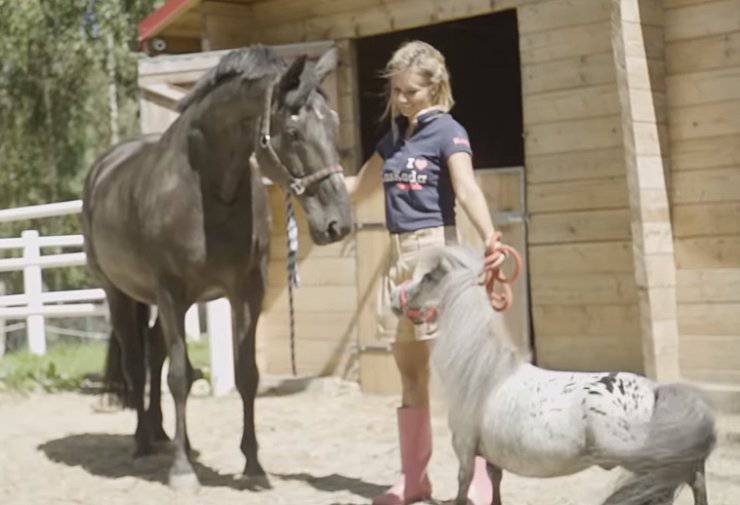 Charlie Il Cavallo Più Piccolo Del Mondo