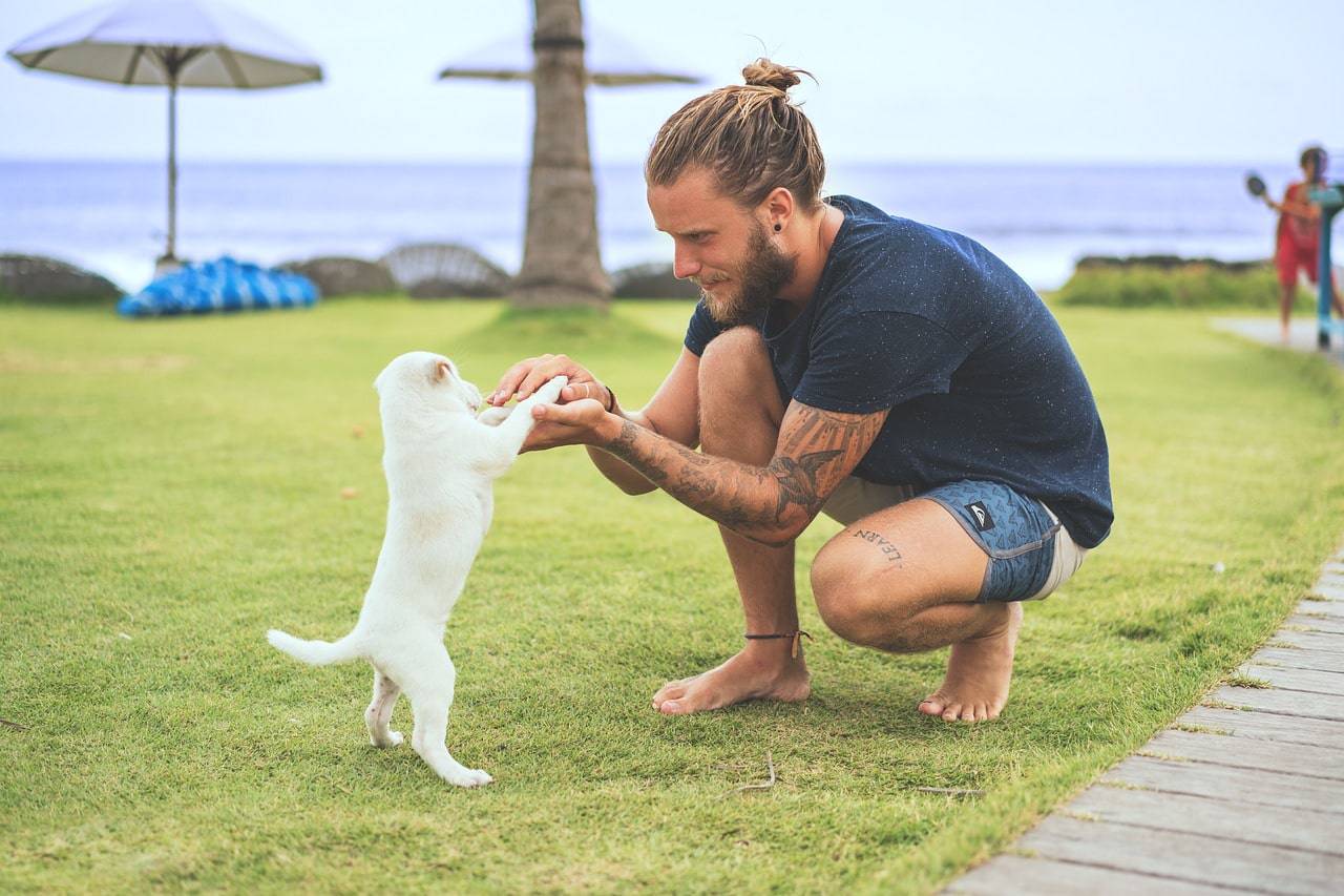 Nomi di cani femmine e maschi con la K