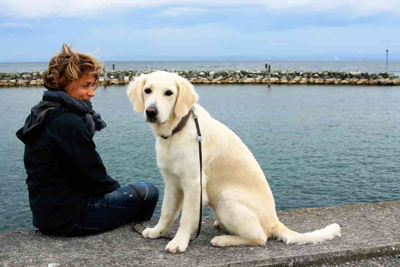 Nomi di cani femmine e maschi con la M