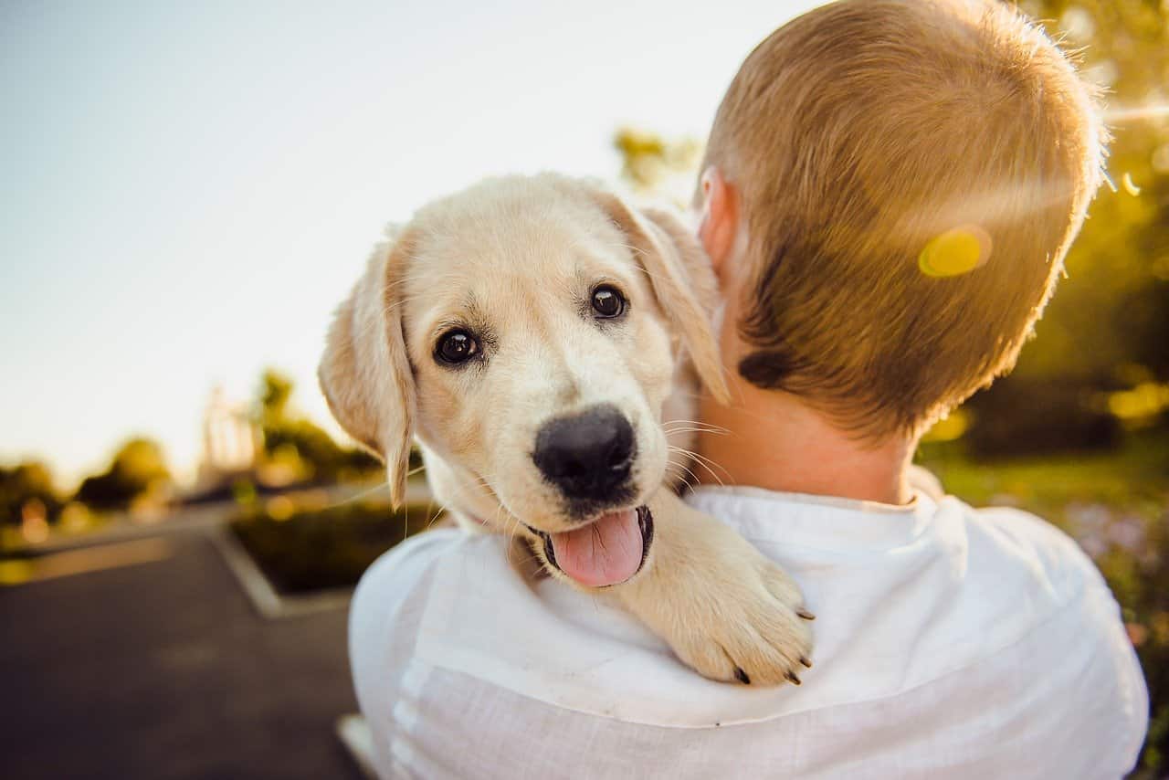 Nomi di cani femmine e maschi con la Q