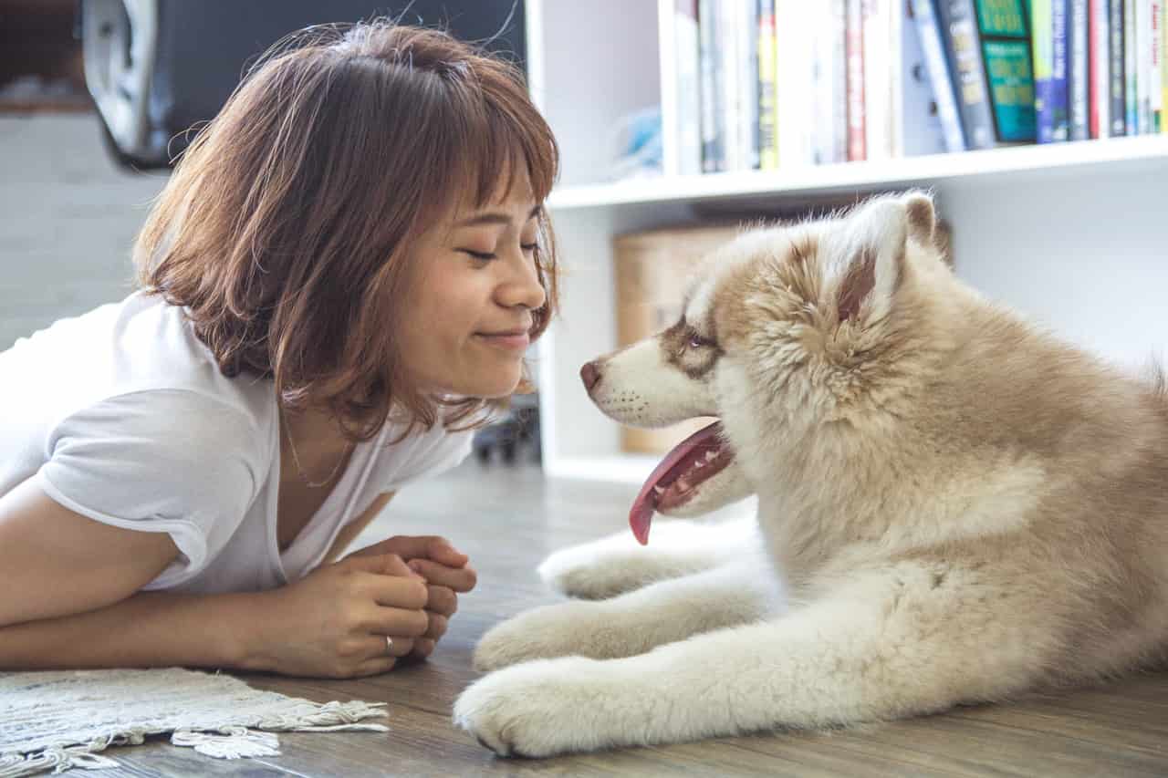 nomi di cani dolci e affettuosi