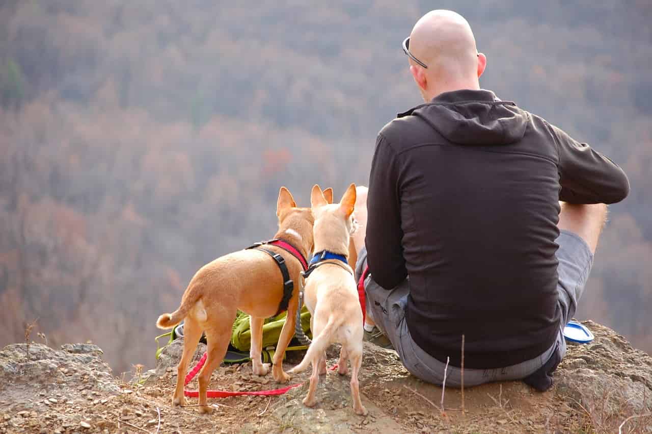 Nomi di cani e natura