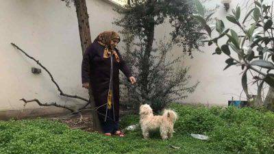 Donna porta a spasso il cane