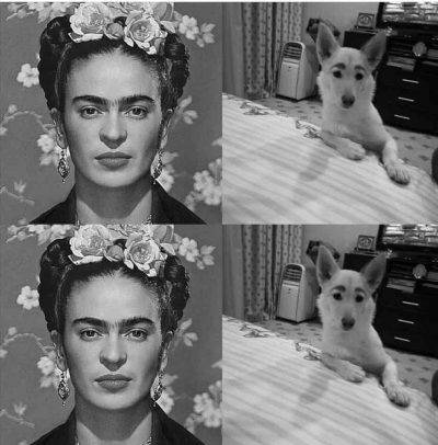 Frida 