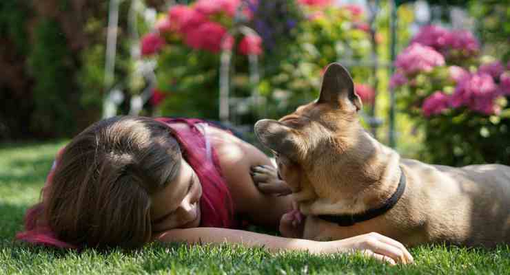 L'importanza della salute dei cani (Fonte Pixabay) 