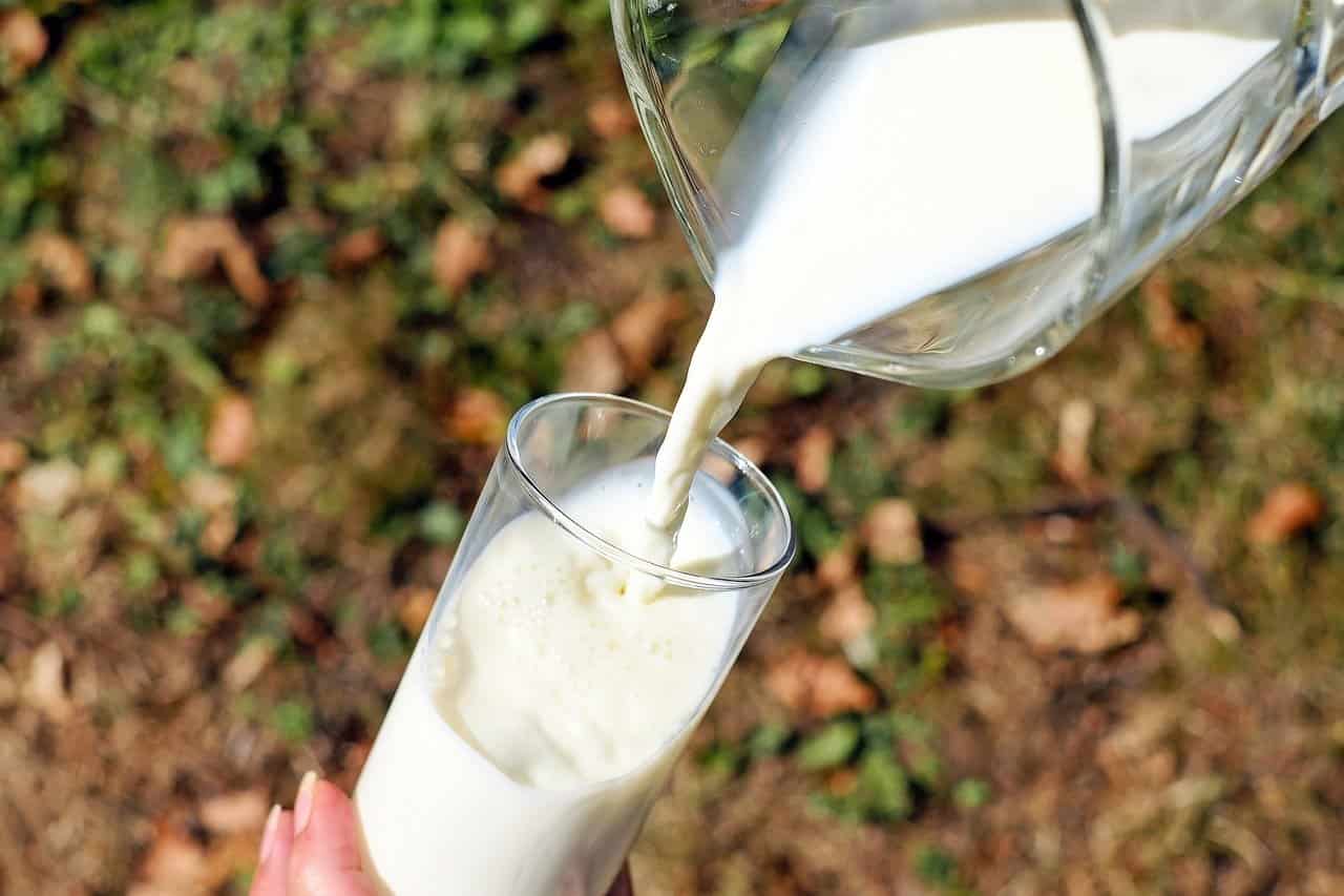 Produzione del latte (Foto Pixabay)