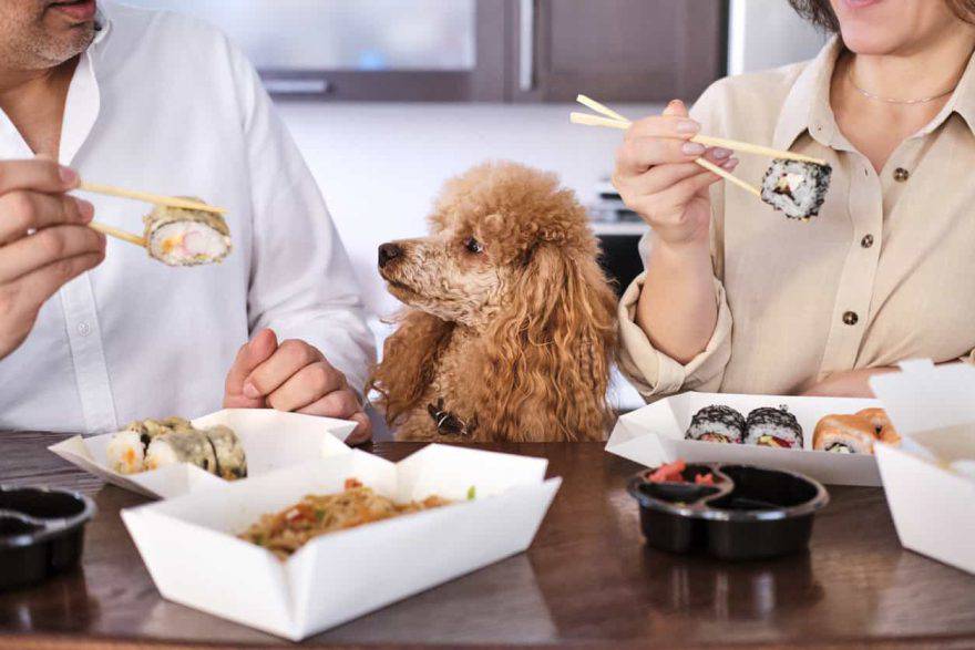 Sushi per cani