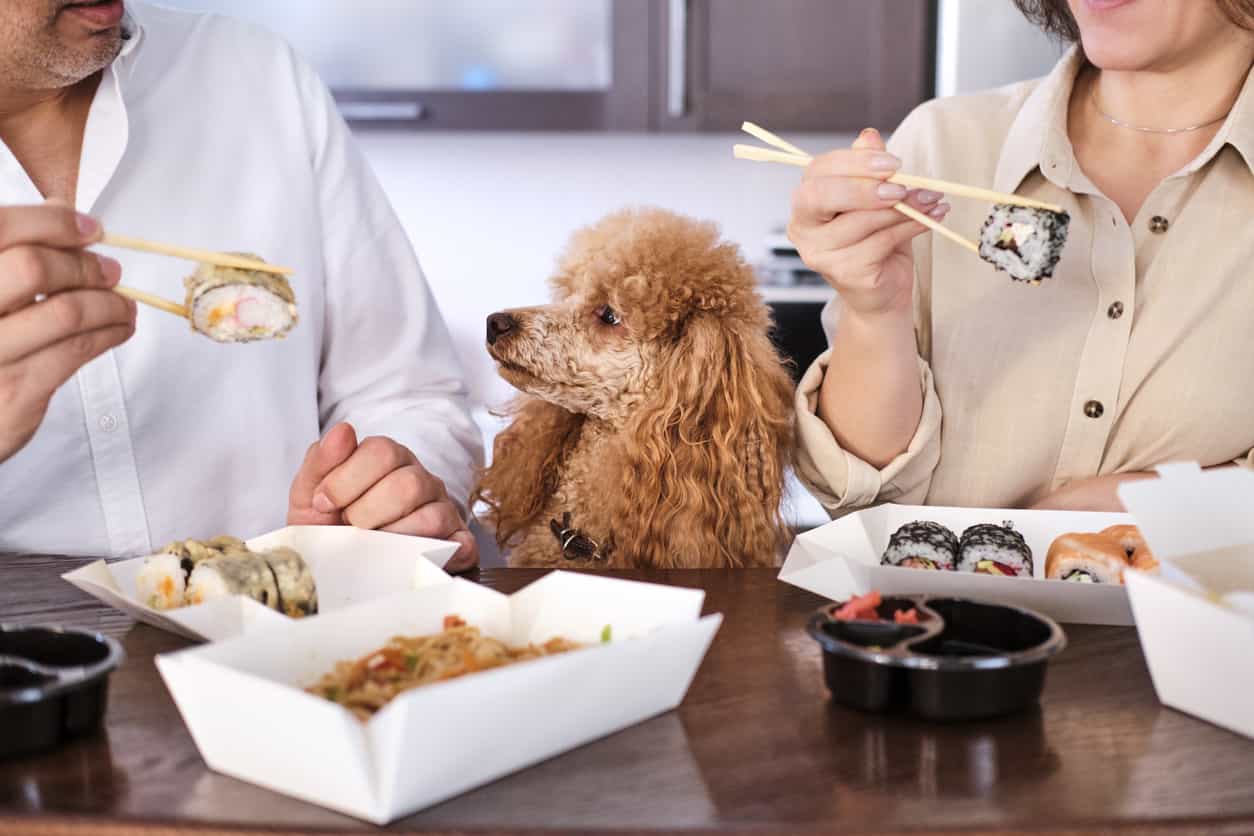Sushi Per Cani Una Ricetta Facile E Veloce Tutta Da Provare
