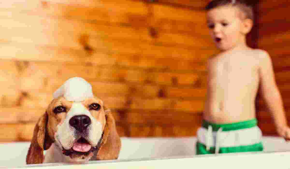 Cane e bambino nella vasca (Foto Istock)