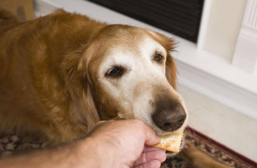 cane crackers