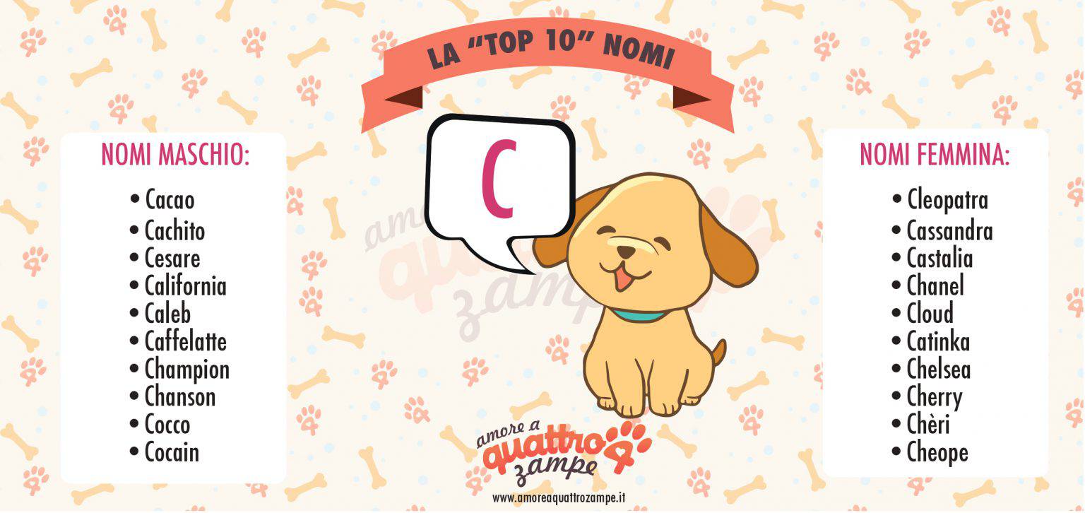 Nomi di cani femmine e maschi con la C più di 200 idee