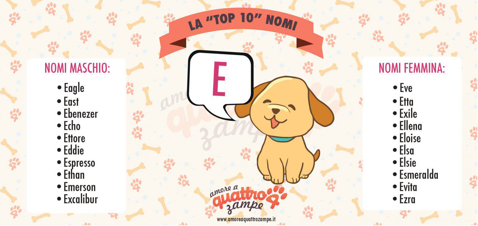 Nomi Di Animali Con Ch E Gh