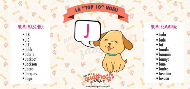 Nomi Di Animali Con Ch E Gh