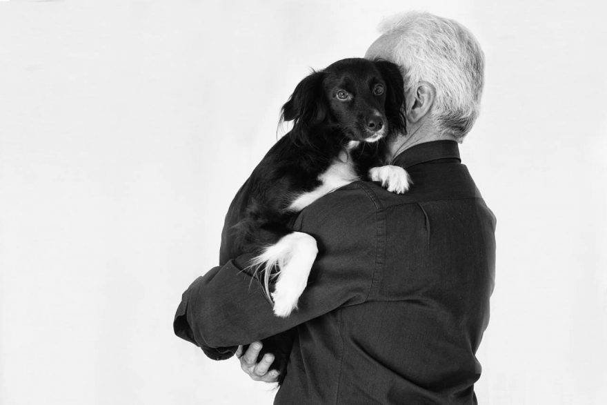 L'amore tra il cane e il suo padrone in una foto (Foto Pixabay)