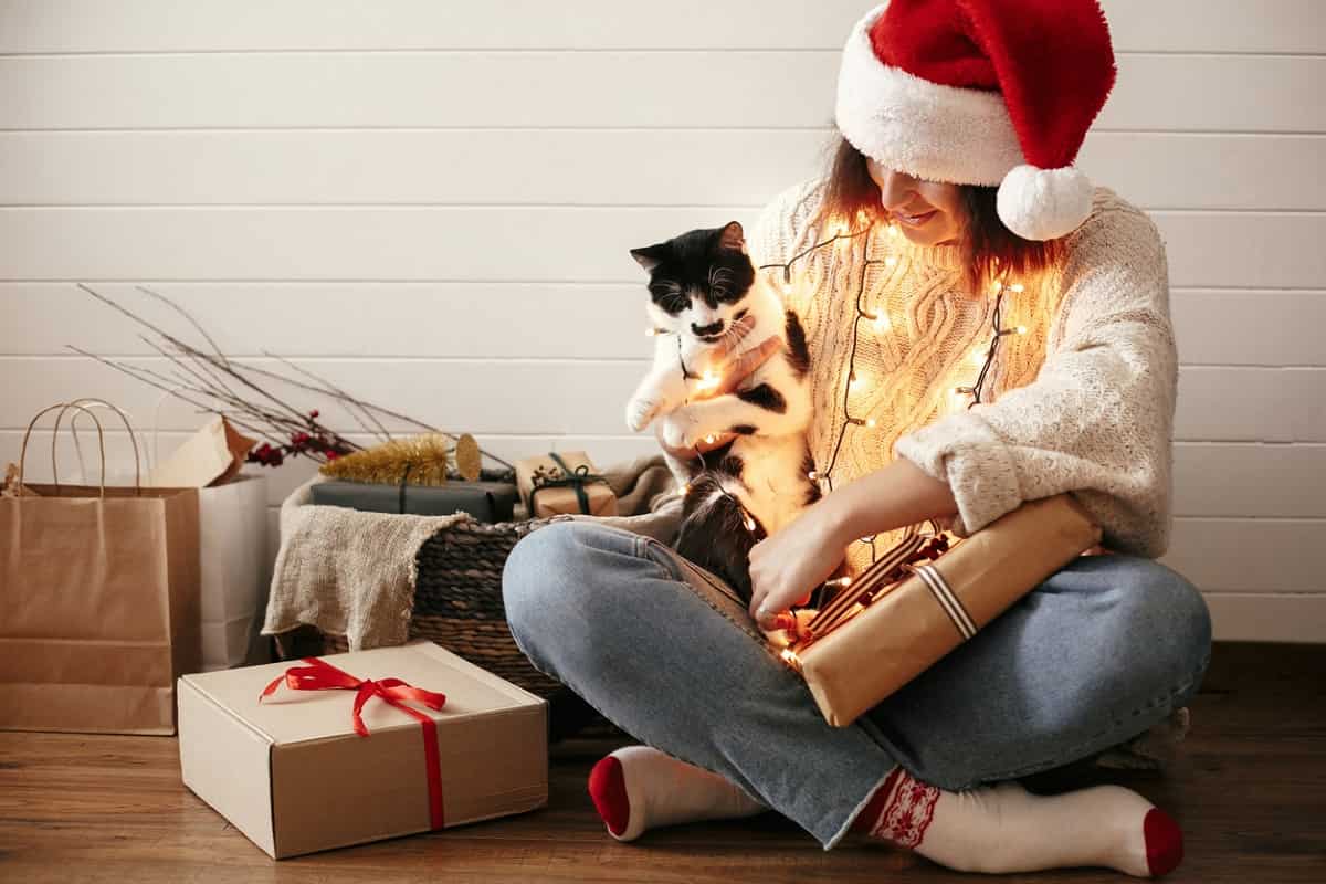 Regali di Natale per chi ama i gatti