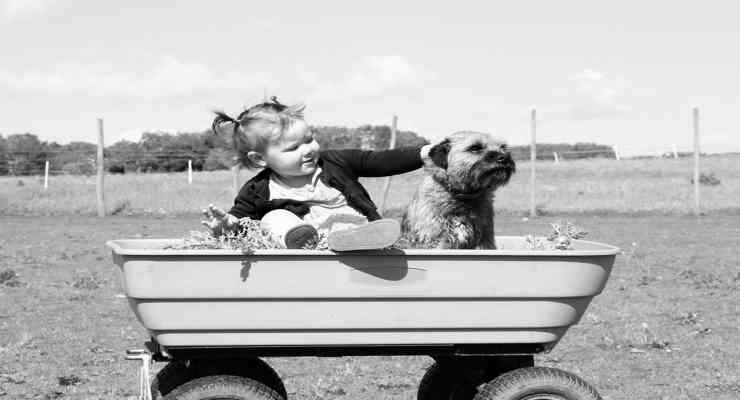 Il sorriso dei bambini con i cani (Fonte Pixabay) 