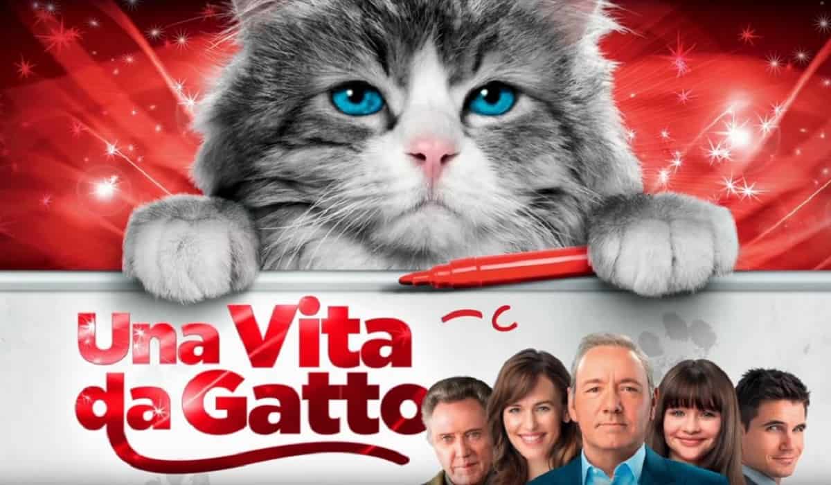 Gatti protagonisti di film