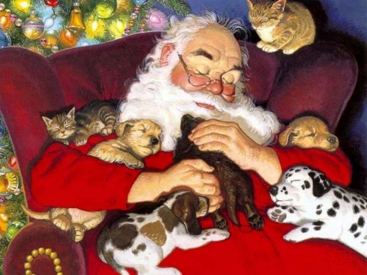 Foto Di Natale Con Animali.Natale Con Gli Animali In Famiglia Come Renderli Felici