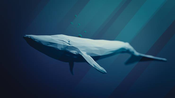 Balenottera azzurra