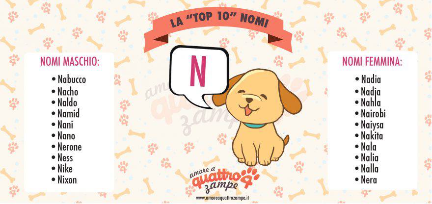 Nomi Di Animali Con Ch E Gh