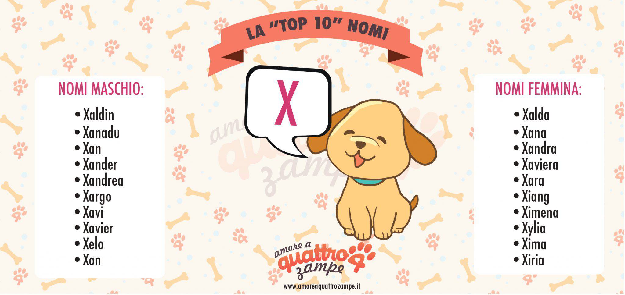 Nomi di cani femmine e maschi con la X: scegli tra più di 50 idee