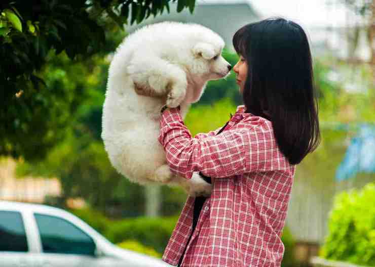 Cane e ragazza 