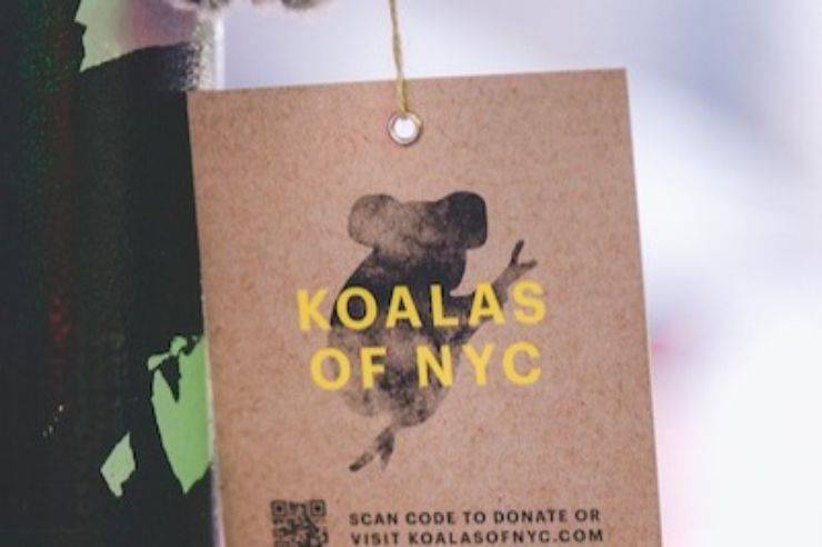 donazione koala new york