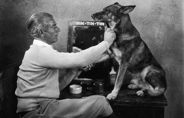 rin tin tin