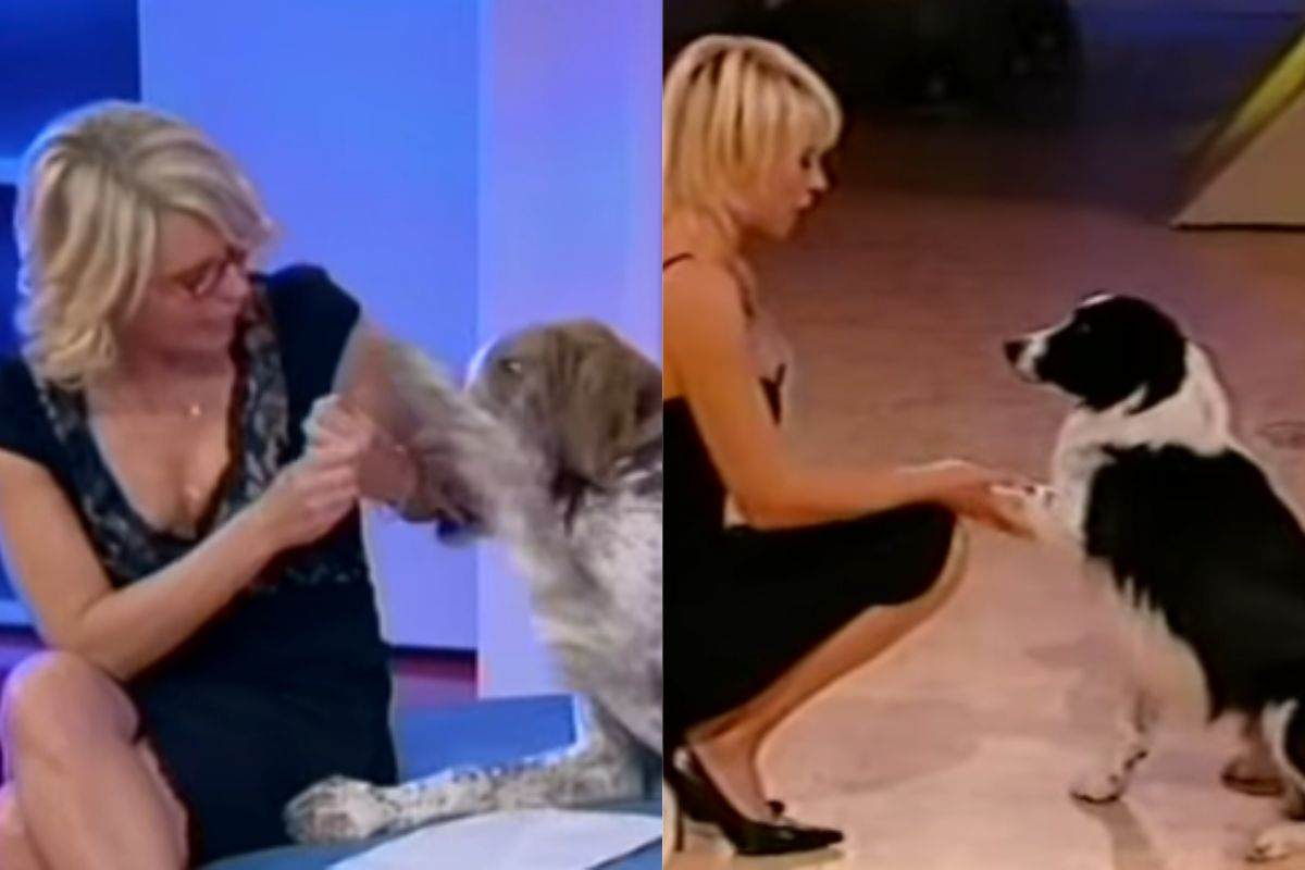 Cani di maria de Filippi