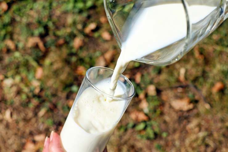 latte di qualità (Foto Pixabay)