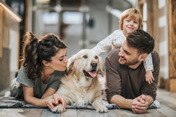 addestrare cane in famiglia