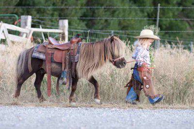 bambini età equitazione cavallo