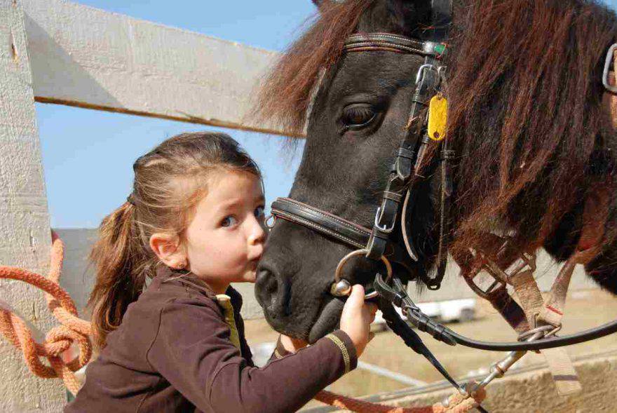 Mezzo Ghetto Equestre In Similpelle Per Bambini - Protezione Polpaccio, Equitazione, Confortevole