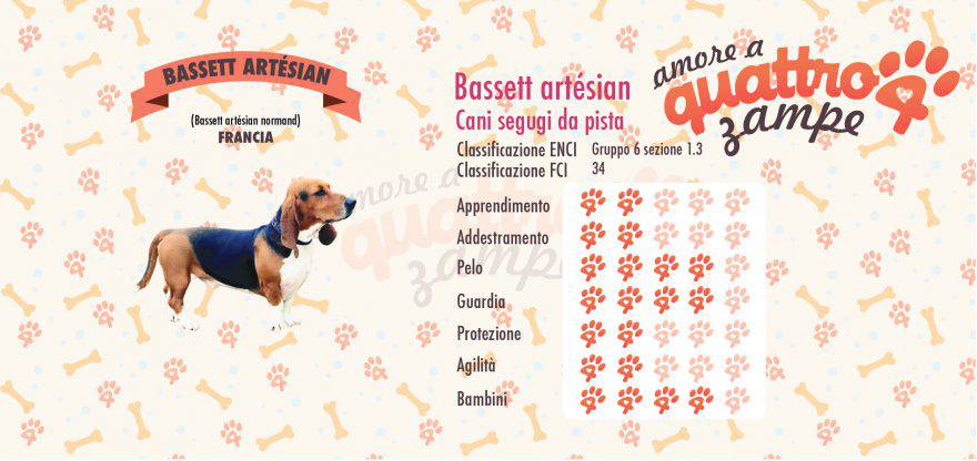 bassett artesian scheda razza