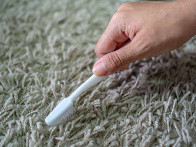 Pet Fresh Spray Enzimatico 750ml - Elimina Odori E Macchie Di Urina Di Cane E Gatto | Naturale - Foto 9