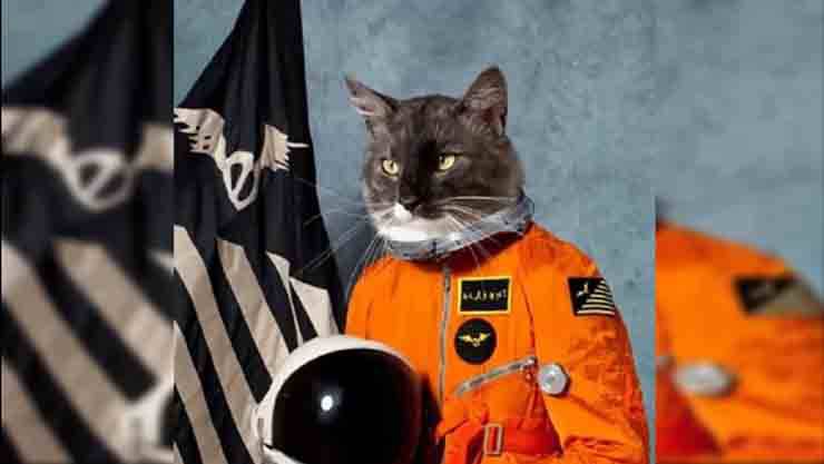 10 animali astronauti