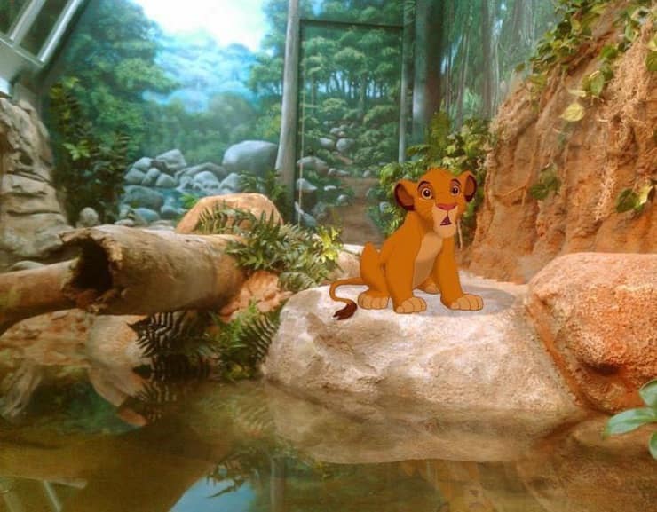 Animali Disney nel mondo Re Leone