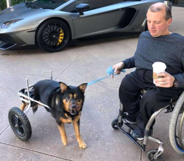 cane disabile adottato
