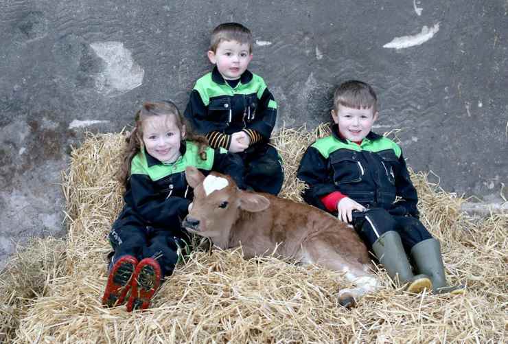 Il vitello e i bambini nella fattoria (Foto Facebook)