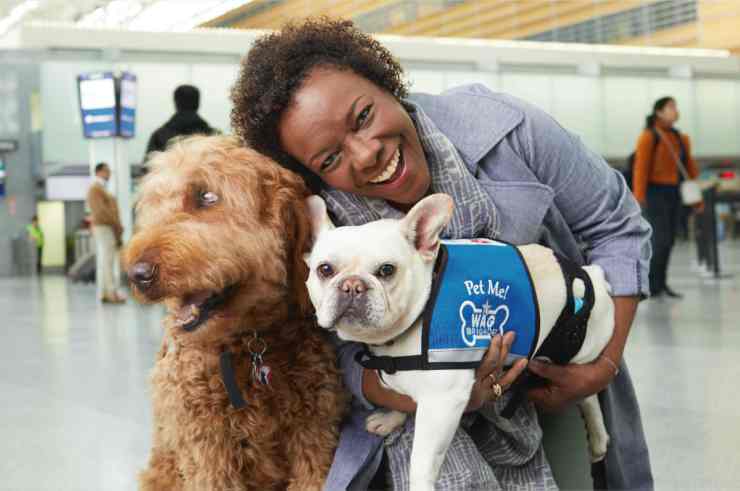 I due cani addestrati per il supporto in aeroporto (Foto Facebook)
