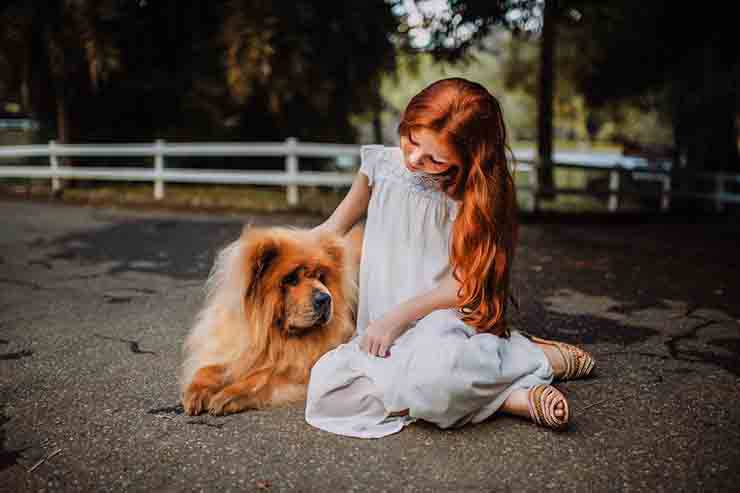 bambina accarezza cane