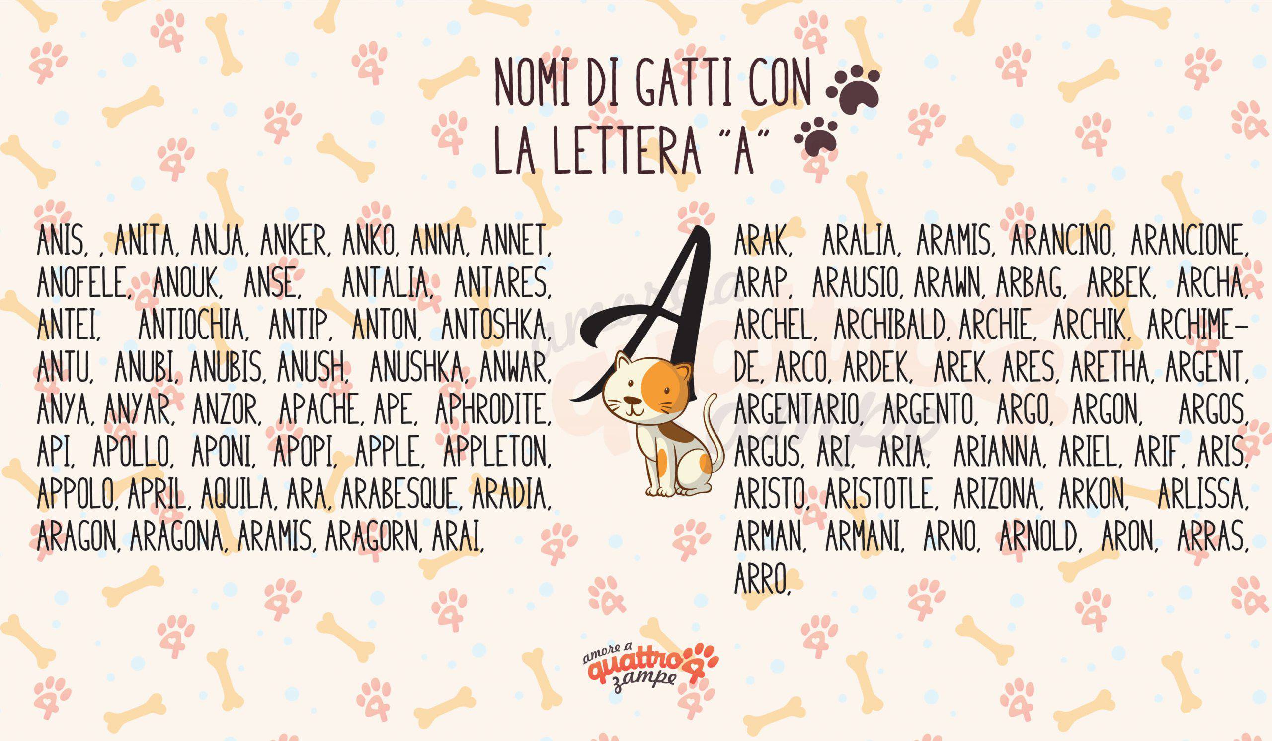 Nomi Di Gatti Femmine E Maschi Con La A Pi Di 360 Idee