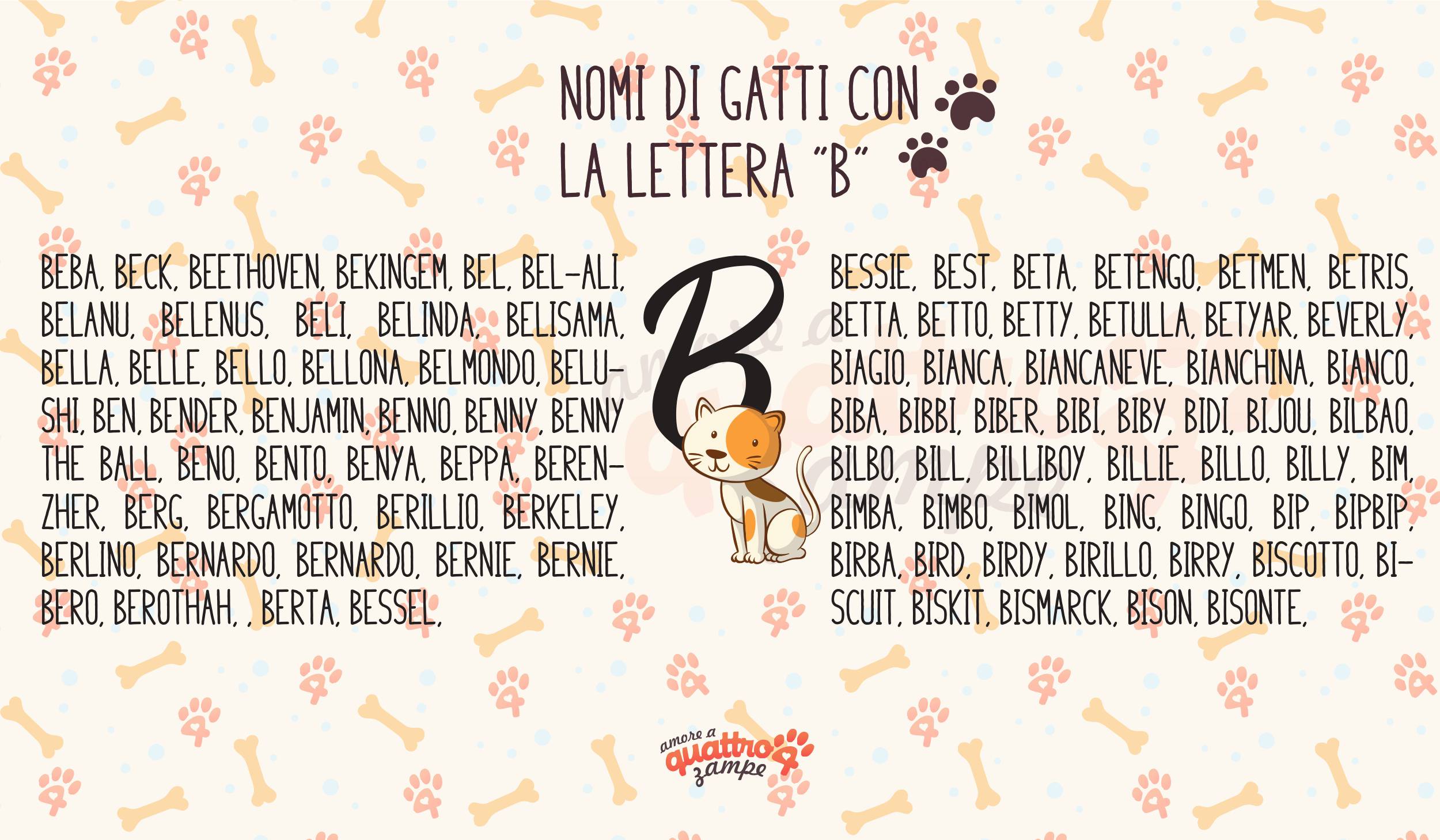 Infografica nomi gatti con la B