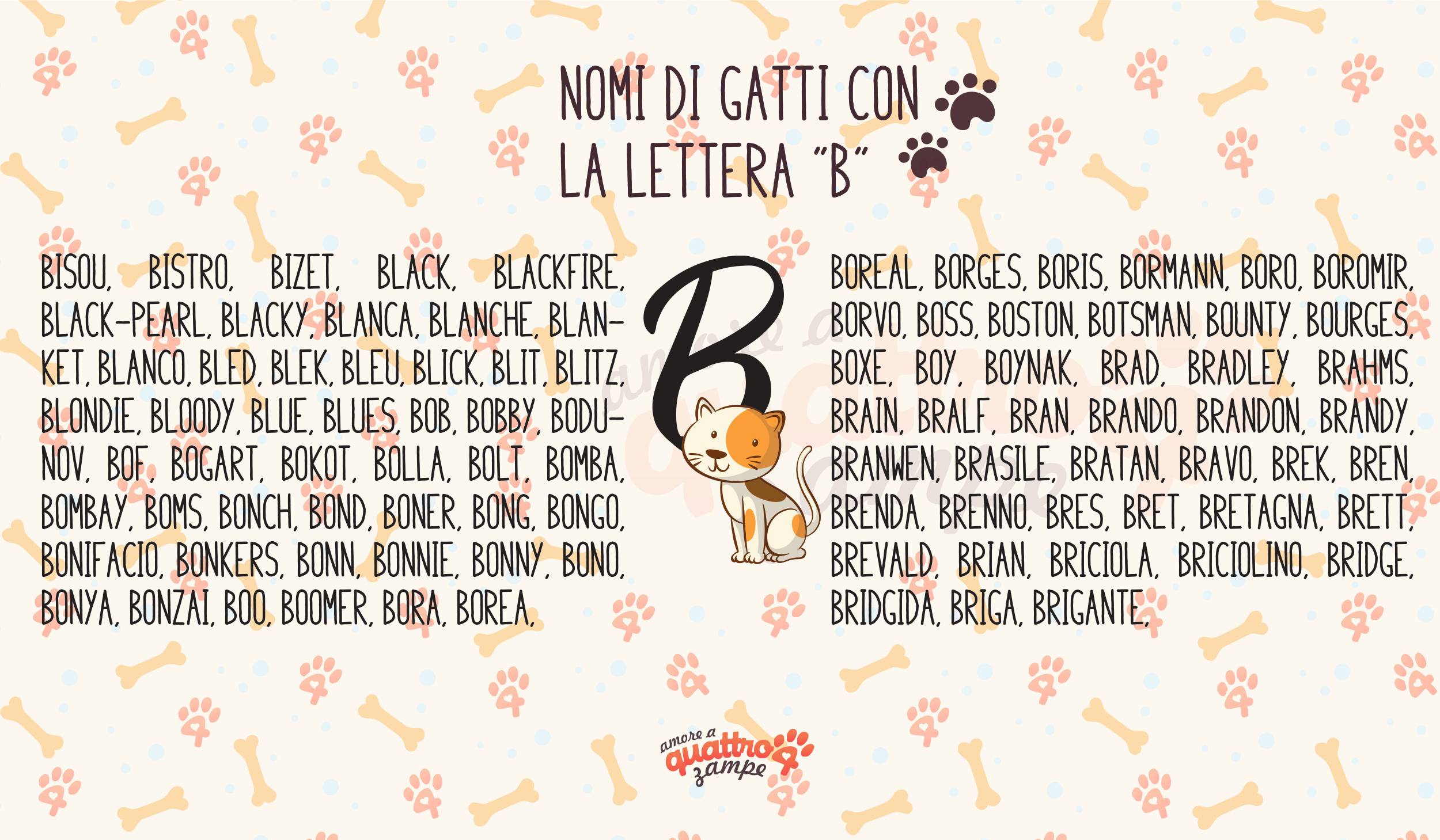 infografica lettera b nomi gatti