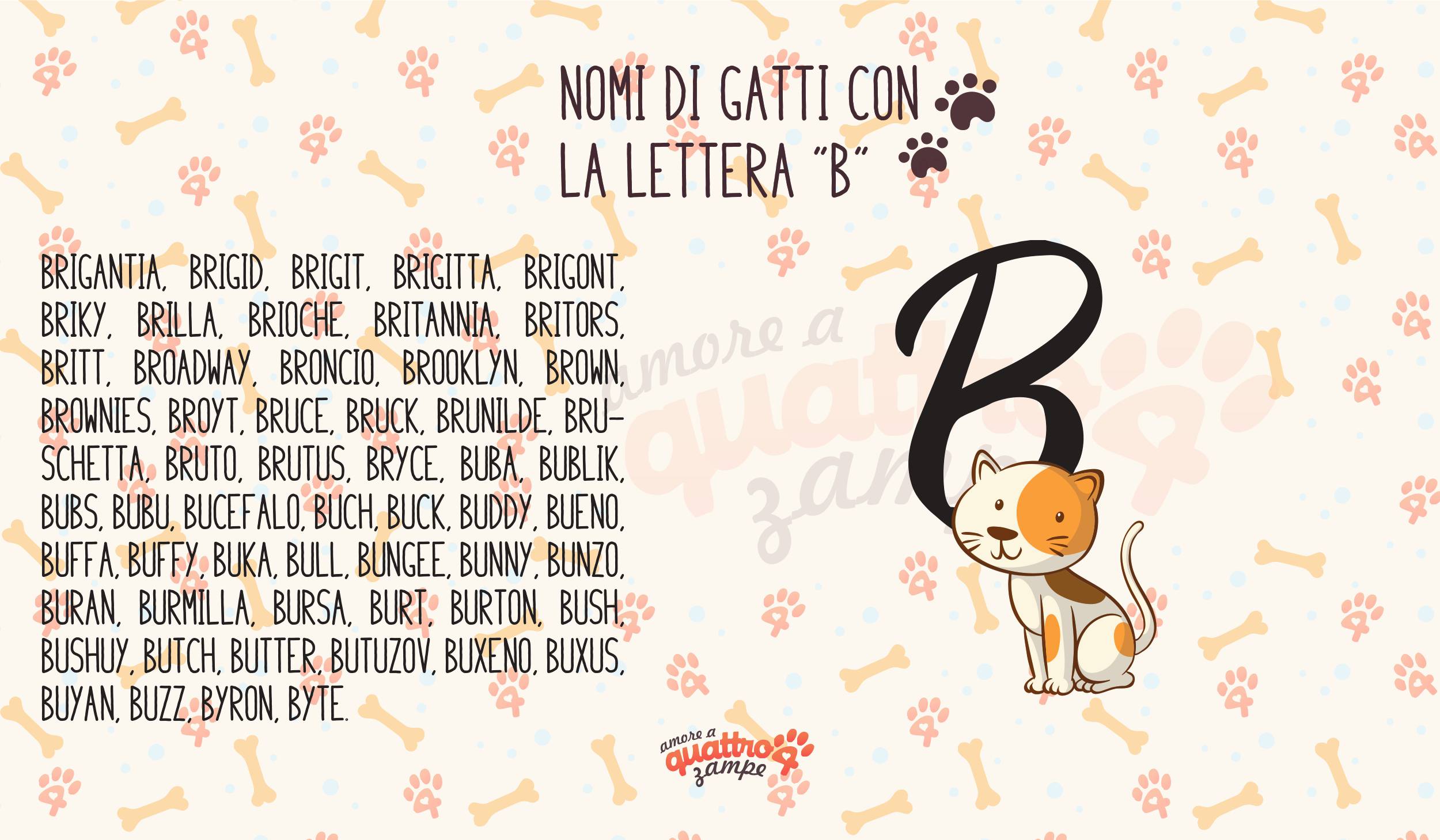 infografica lettera B nomi gatti