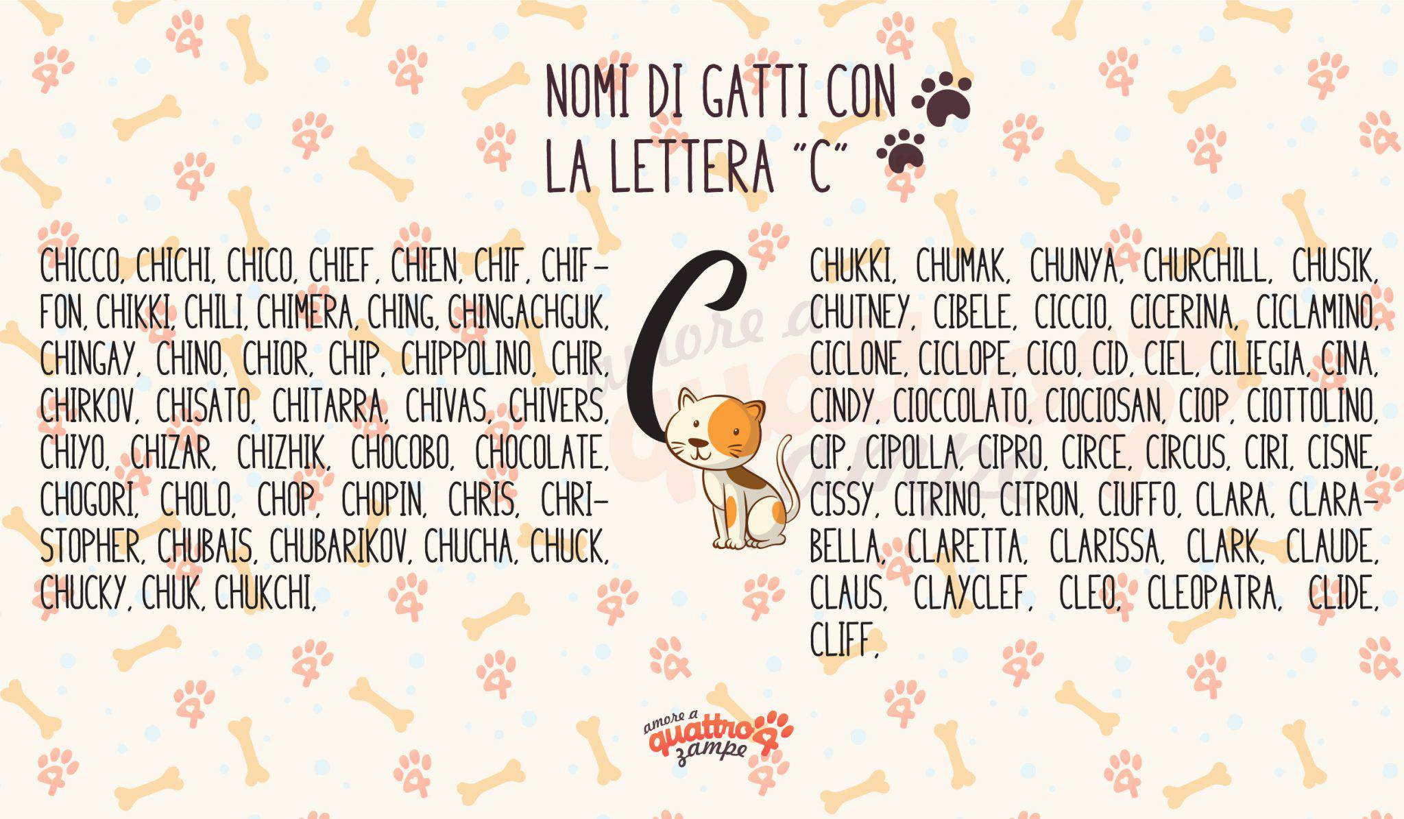 Nome Da Dare A Un Gatto Maschio