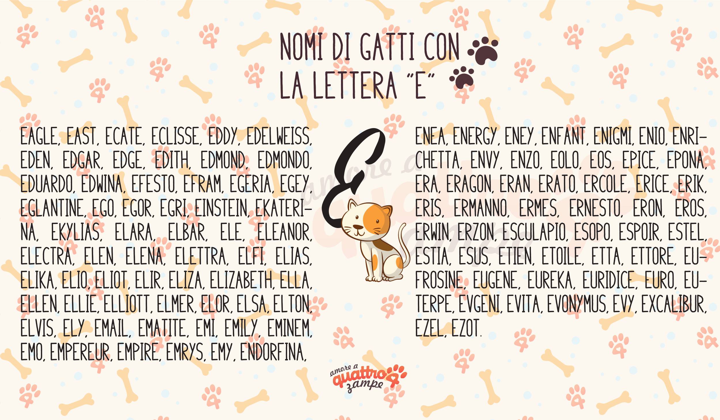 Infografica nomi gatti con la E